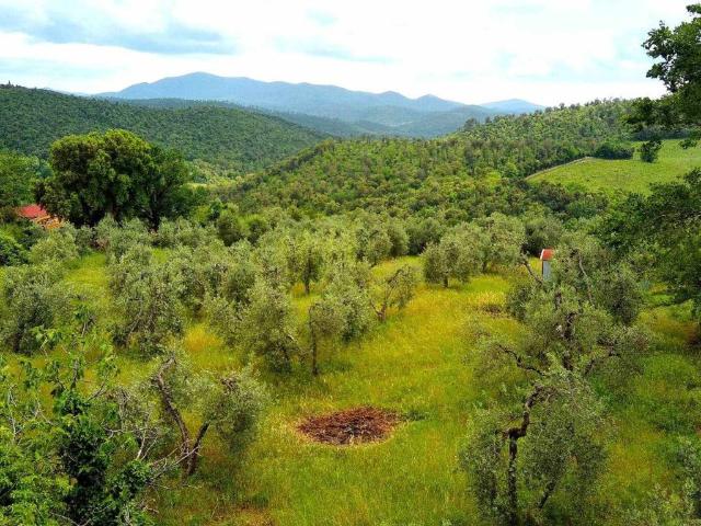 Terreno in vendita a Roccastrada, Toscana