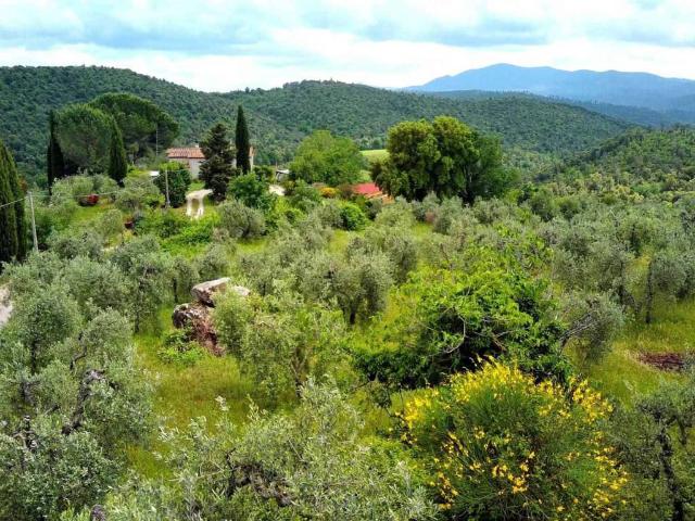 Terreno in vendita a Roccastrada, Toscana