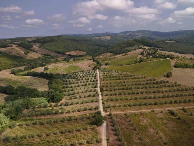 Terreno in vendita a Roccastrada, Toscana