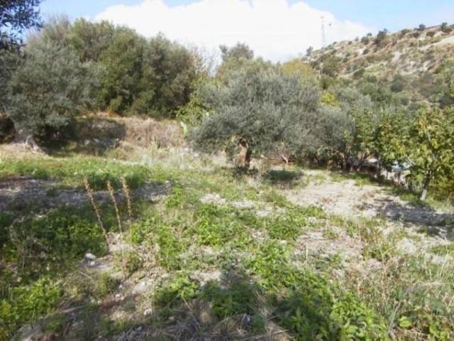 Terreno in vendita a Calabria, Reggio Calabria