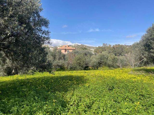 Terreno in vendita a Calabria, Reggio Calabria