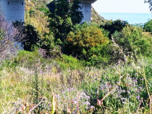 Terreno in vendita a Calabria, Reggio Calabria