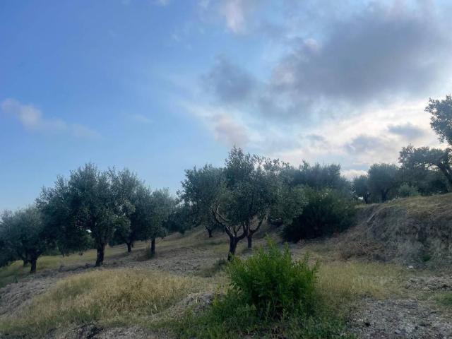 Terreno in vendita a Calabria, Reggio Calabria