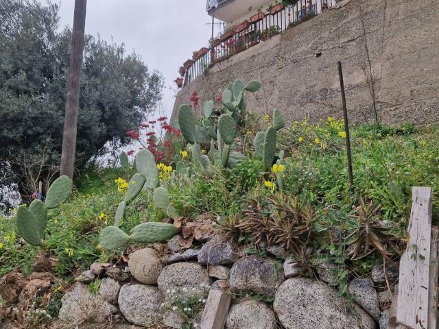 Terreno in vendita a Calabria, Reggio Calabria