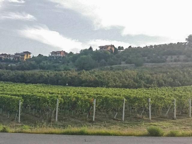Terreno in vendita a Piemonte, Cuneo
