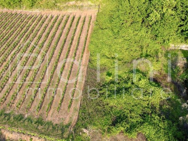 Terreno in vendita a Rodengo Saiano, Lombardia