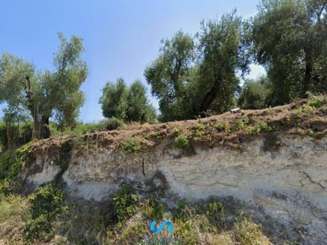 Terreno in vendita a Puglia, Foggia