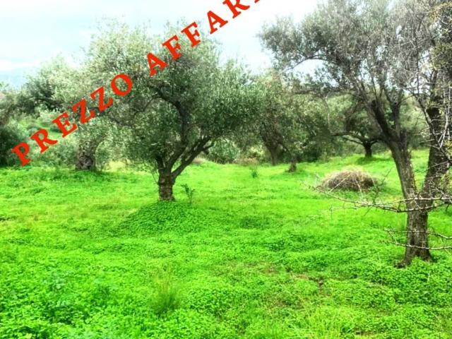 Terreno in vendita a Rodì Milici, Sicilia