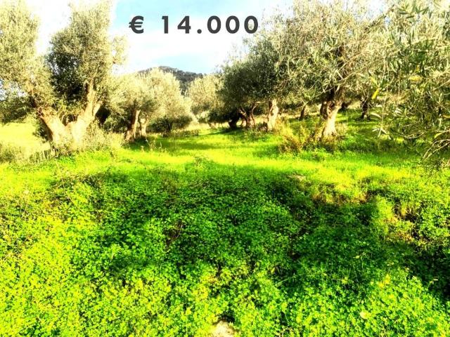 Terreno in vendita a Rodì Milici, Sicilia