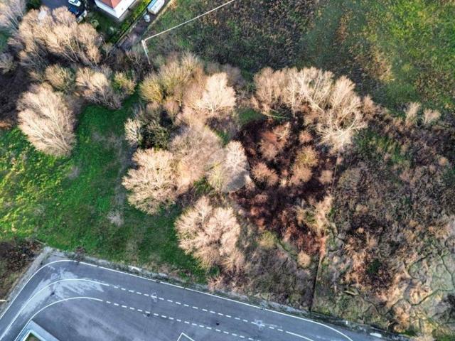 Terreno in vendita a Rodigo, Lombardia