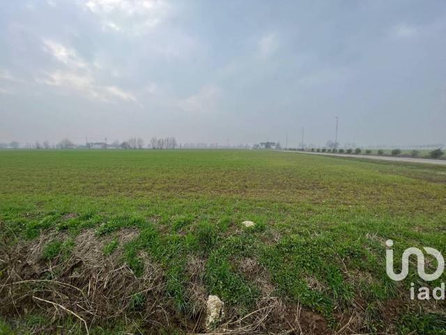 Terreno in vendita a Rodigo, Lombardia