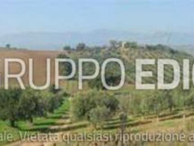 Terreno in vendita a Calabria, Cosenza