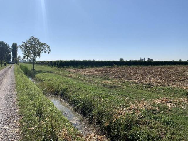 Terreno in vendita a Pianura Reggiana, Re