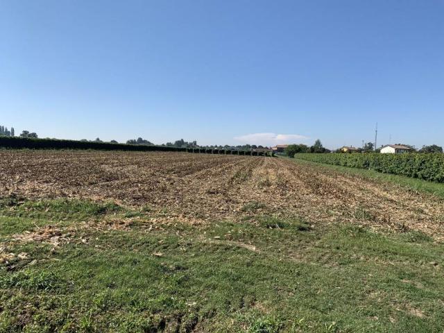 Terreno in vendita a Pianura Reggiana, Re