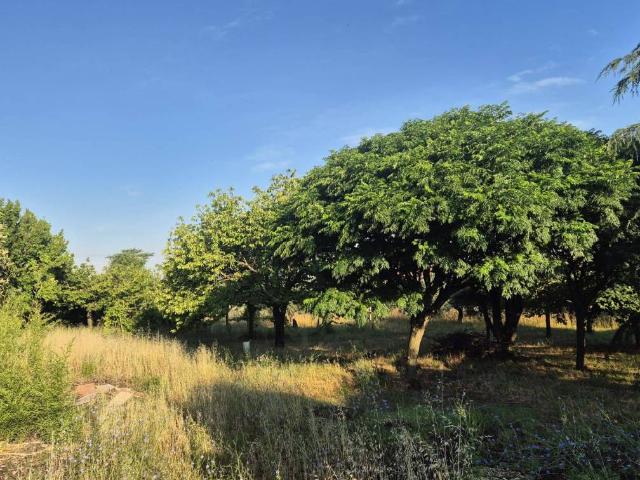 Terreno in vendita a Finocchio, Roma Capitale