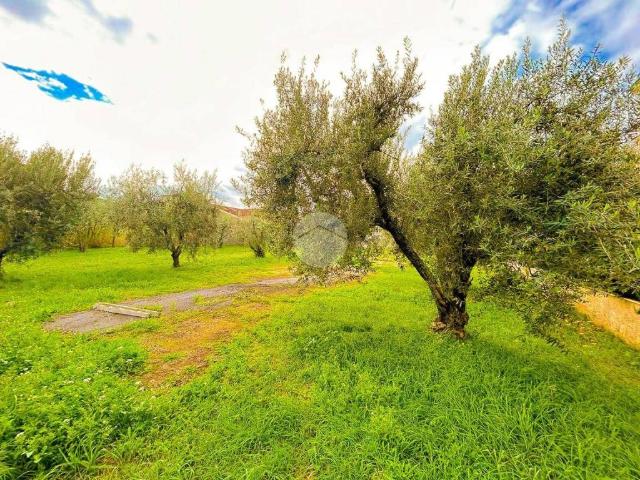 Terreno in vendita a Castelverde, Roma Capitale