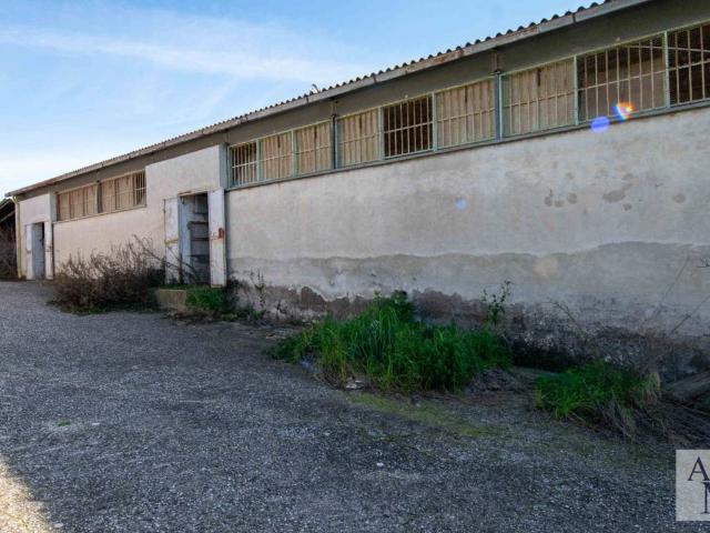 Terreno in vendita a Osteria Nuova, Roma Capitale