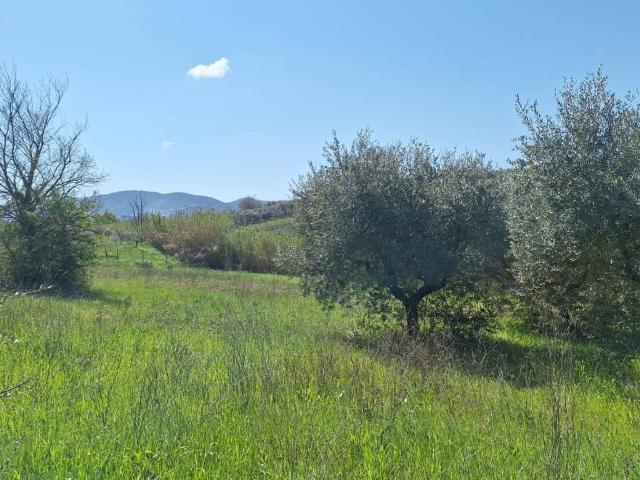 Terreno in vendita a Finocchio, Roma Capitale