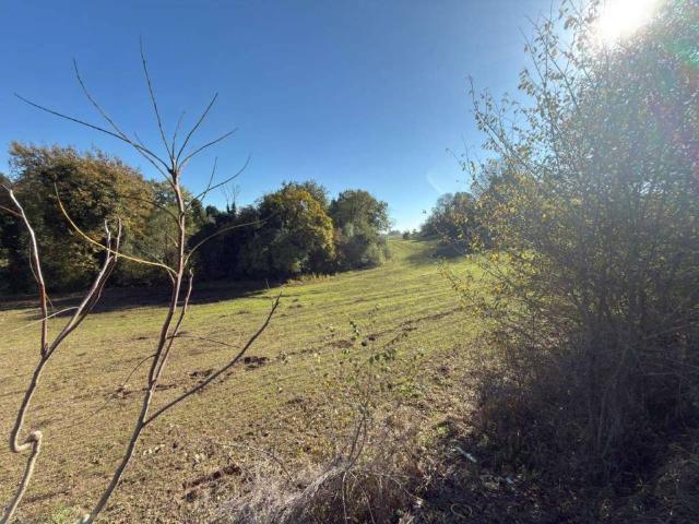 Terreno in vendita a Montecompatri