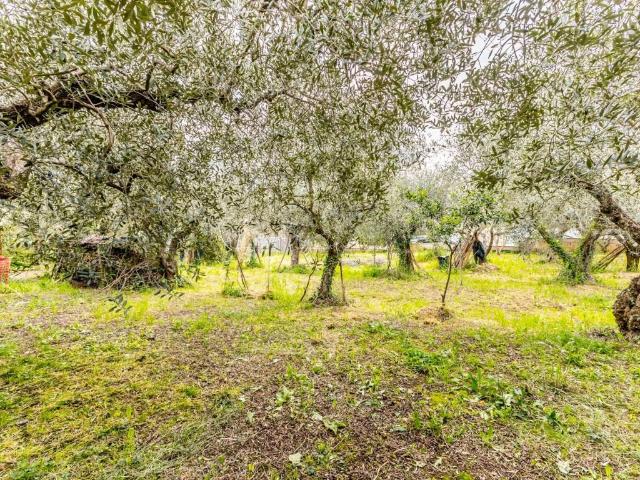 Terreno in vendita a Municipio Roma IX, Roma Capitale