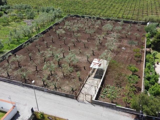 Terreno in vendita a Roma Capitale, Lazio
