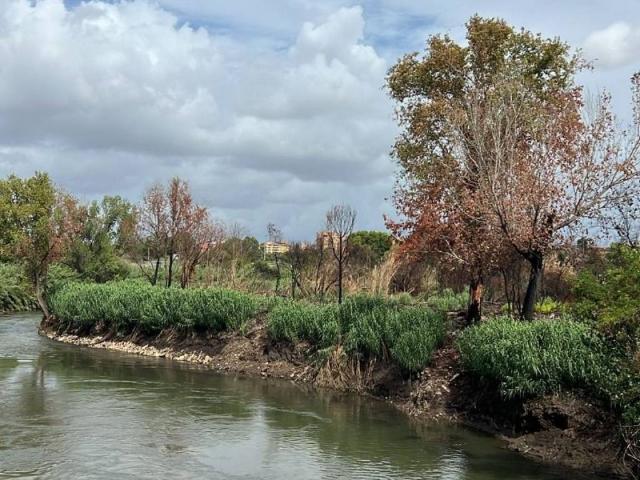 Terreno in vendita a Municipio Roma IV, Roma Capitale