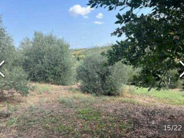 Terreno in vendita a Centroni, Roma Capitale