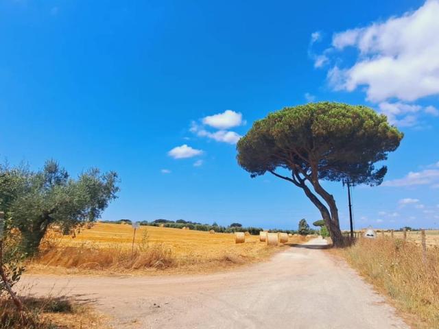 Terreno in vendita a Falcognana, Roma Capitale