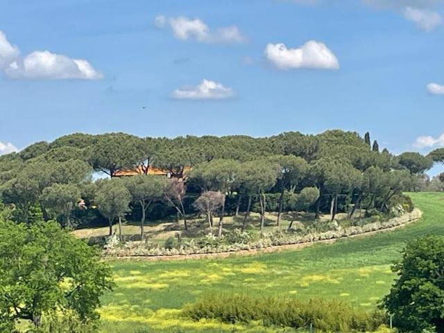 Terreno in vendita a Falcognana, Roma Capitale