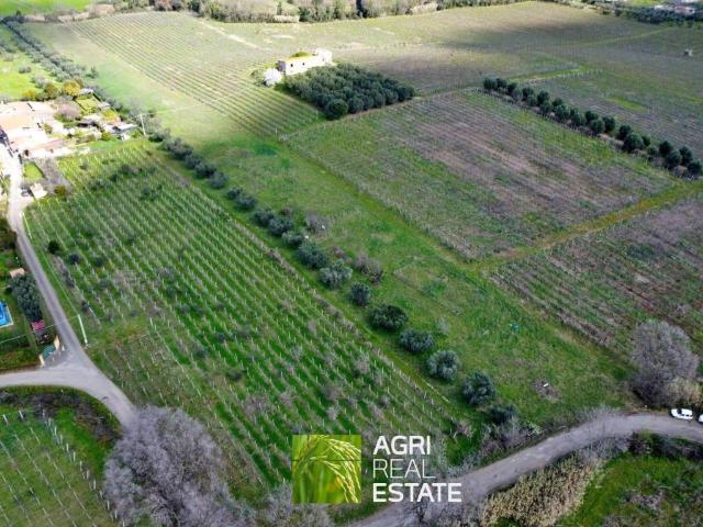 Terreno in vendita a Roma Capitale, Lazio