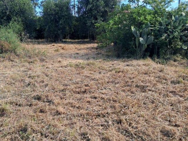 Terreno in vendita a Tragliatella, Roma