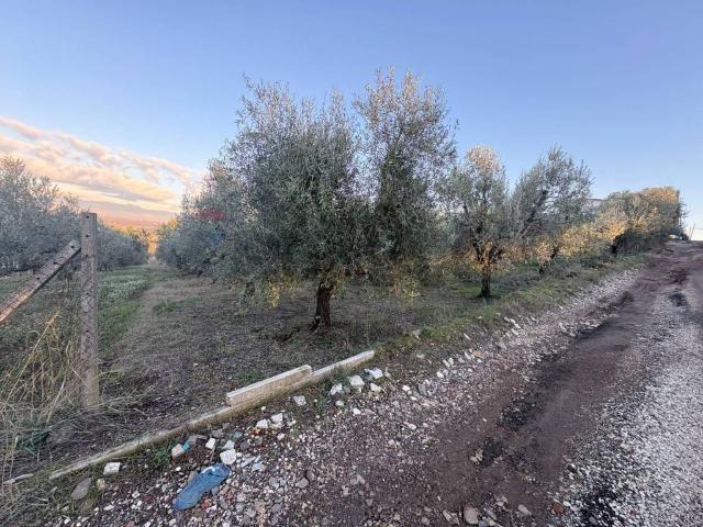 Terreno in vendita a Finocchio, Roma Capitale