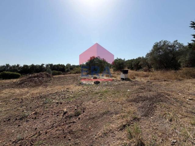 Terreno in vendita a Municipio Roma XIV, Roma