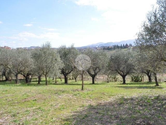 Terreno in vendita a Finocchio, Roma Capitale