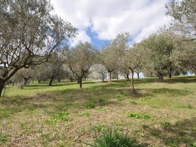 Terreno in vendita a Finocchio, Roma Capitale
