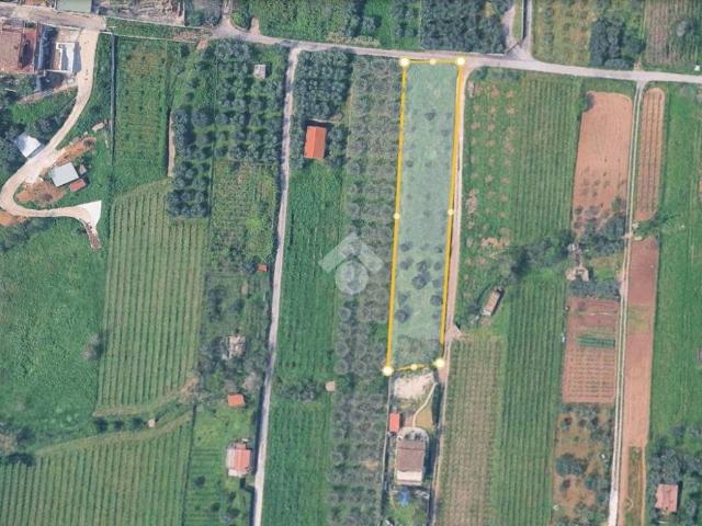 Terreno in vendita a Municipio Roma VI, Roma Capitale