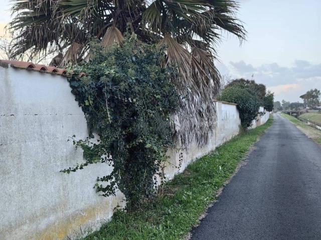 Terreno in vendita a Municipio Roma X, Roma Capitale