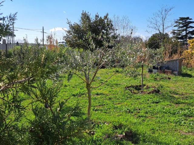 Terreno in vendita a Roma Capitale, Lazio
