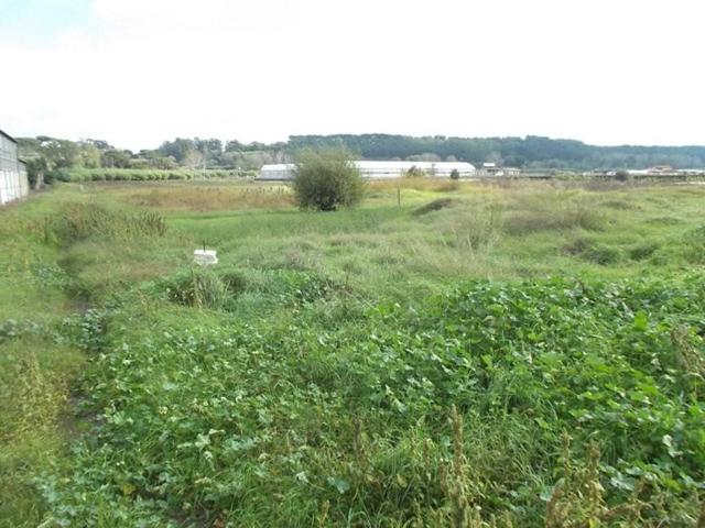 Terreno in vendita a Selva Nera, Roma