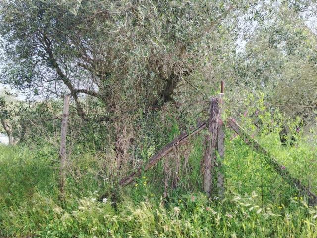 Terreno in vendita a Finocchio, Roma Capitale