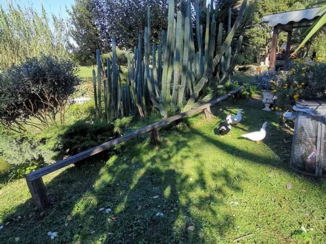 Terreno in vendita a Lido di Ostia, Roma Capitale