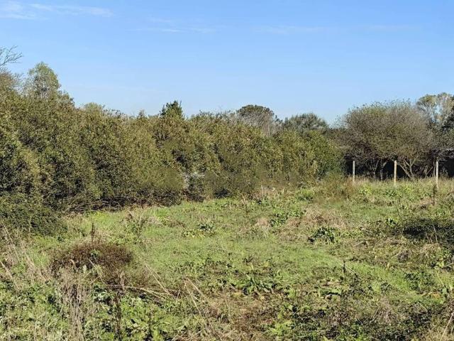 Terreno in vendita a Casal Palocco, Montecompatri