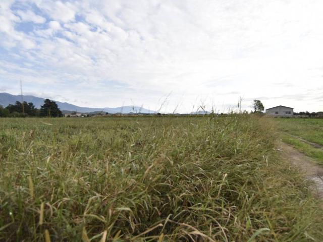 Terreno in vendita a Sacro Cuore, Romano d'Ezzelino