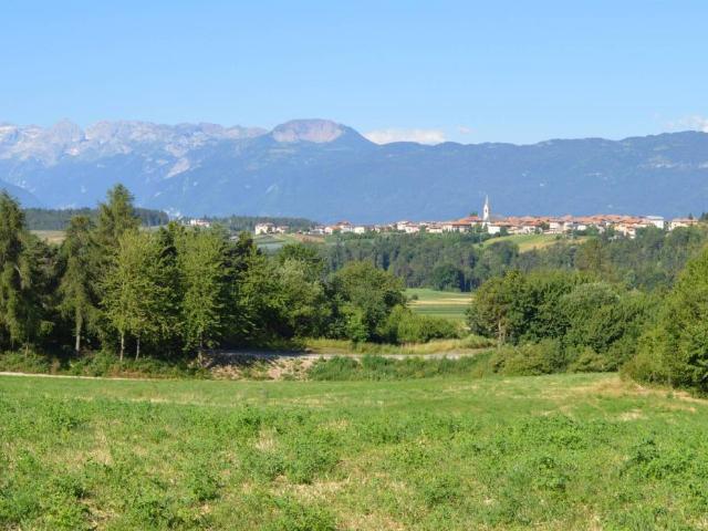 Terreno in vendita a Comunità della Val di Non, Romeno