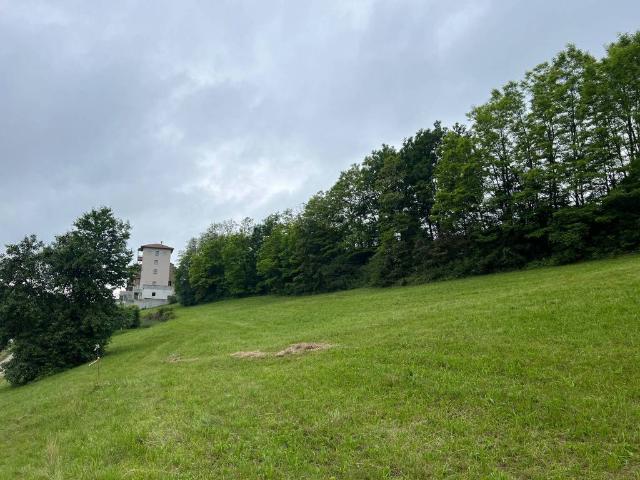 Terreno in vendita a Comunità della Val di Non, Romeno