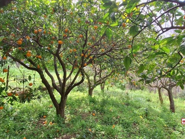 Terreno in vendita a Rometta, Sicilia