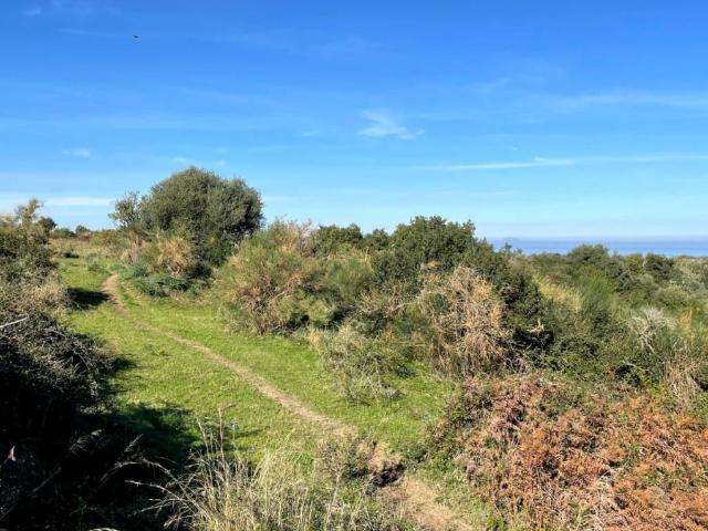 Terreno in vendita a Rometta, Sicilia