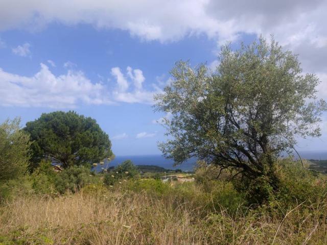 Terreno in vendita a Rometta, Sicilia
