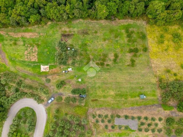 Terreno in vendita a Roncà, Veneto