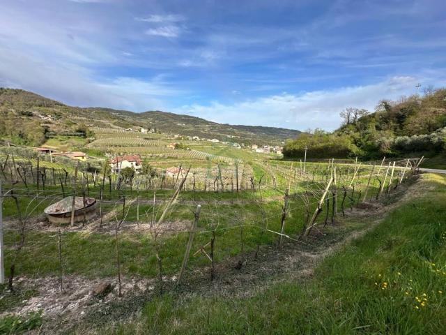 Terreno in vendita a Roncà, Veneto